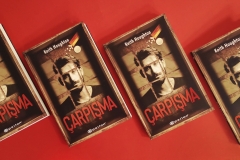 CRASH - Turkish Cover