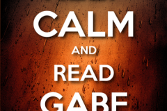 Gabe Quinn Rules